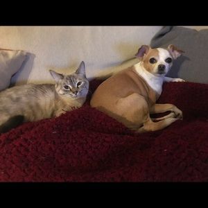 Meet your Posher, Christine